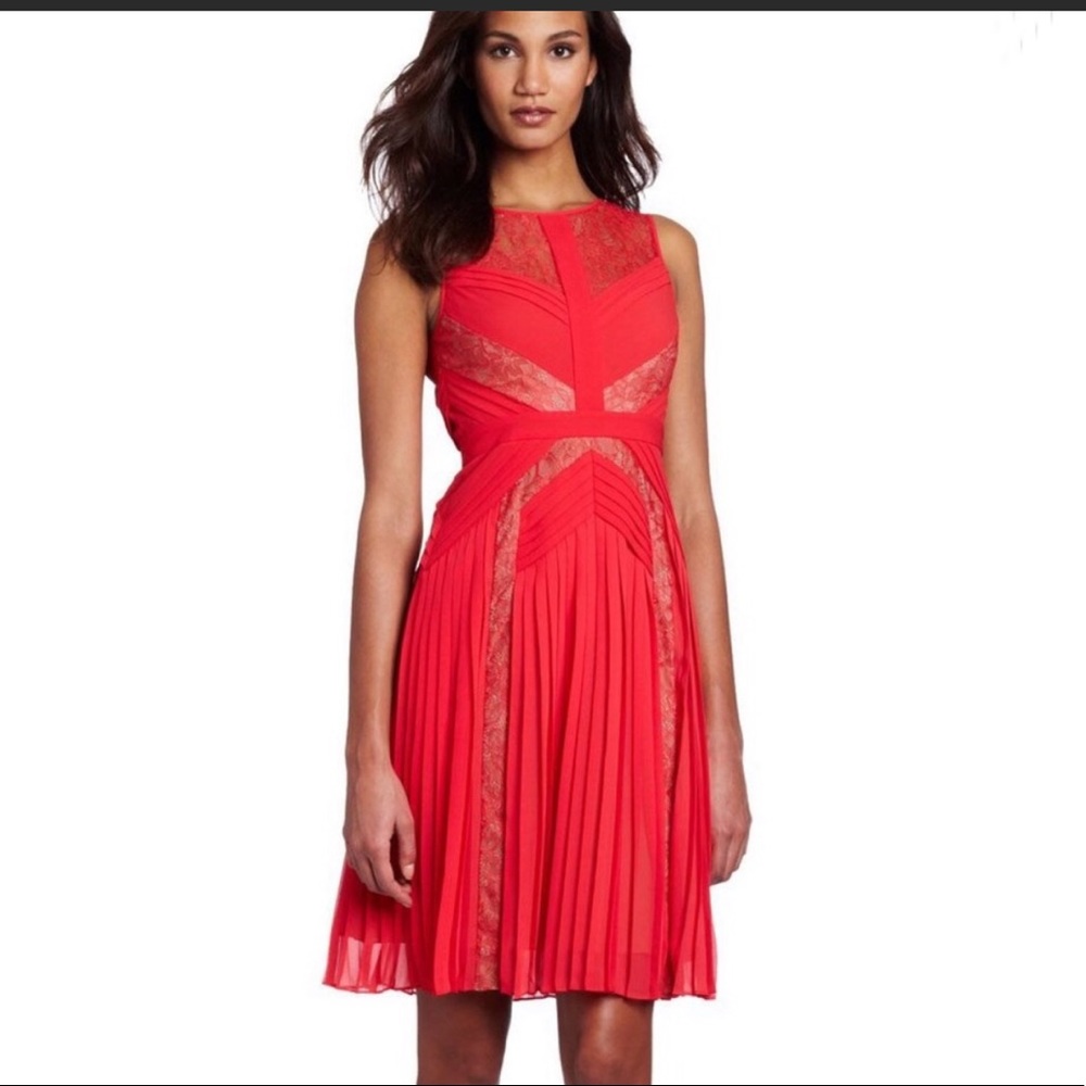 NWT BCBG MaxAzria “Raya” Dress
